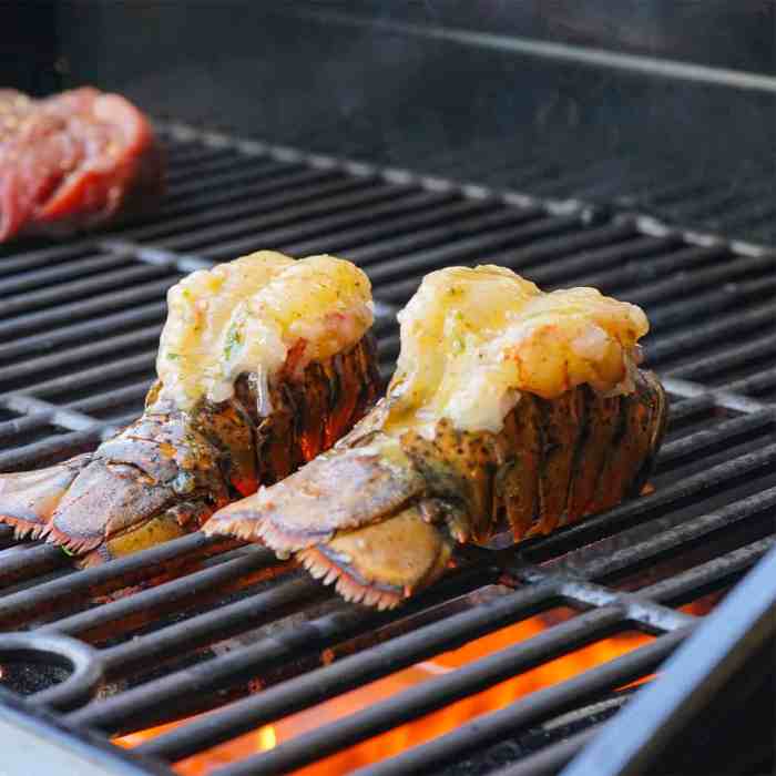 Lobster broiled easy tails broil iwashyoudry dry going