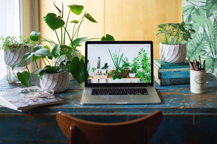 How to decorate offices with plants